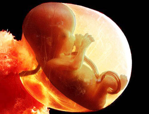 If you thought the abortion debate was over in Canada — think again